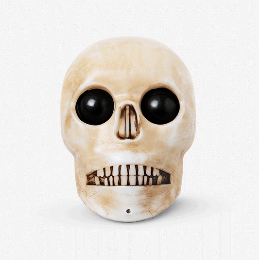 Haunted skull