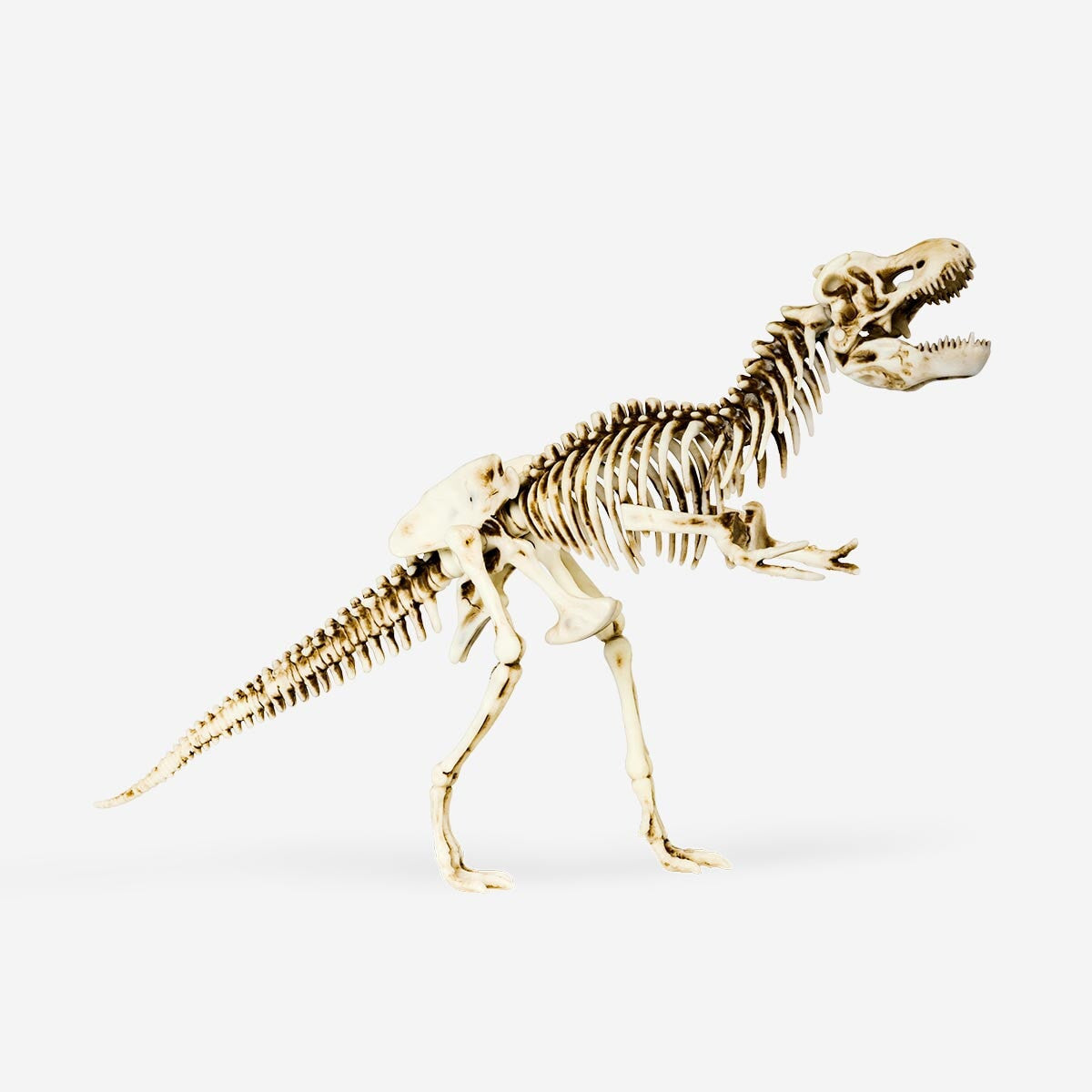 Skeleton set Gadget Flying Tiger Copenhagen 