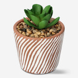 Decorative houseplant from Flying Tiger Copenhagen, featuring lush green leaves in a stylish pot for home decor.