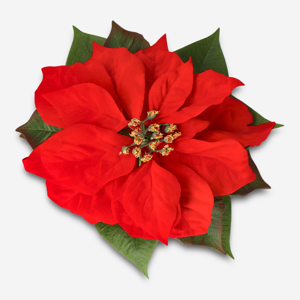 test Home Flying Tiger Copenhagen 