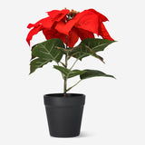 test Home Flying Tiger Copenhagen 