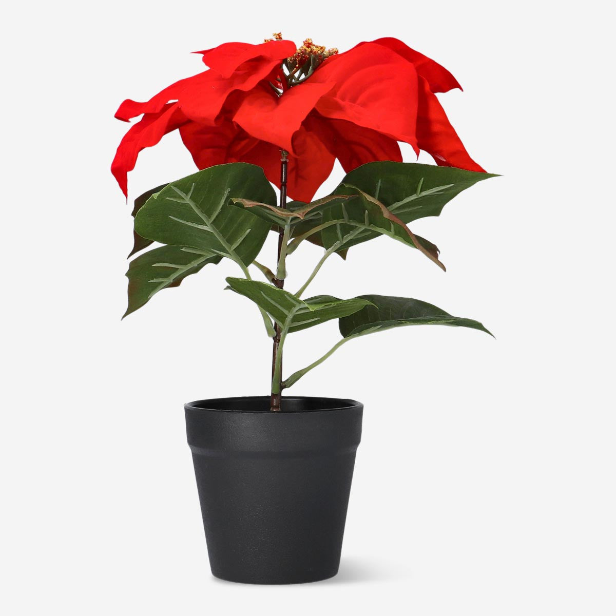 test Home Flying Tiger Copenhagen 