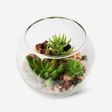 Terrarium Home Flying Tiger Copenhagen 