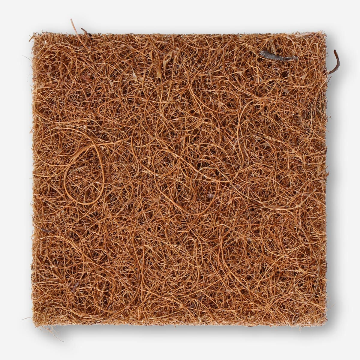 Cleaning sponges Kitchen Flying Tiger Copenhagen 