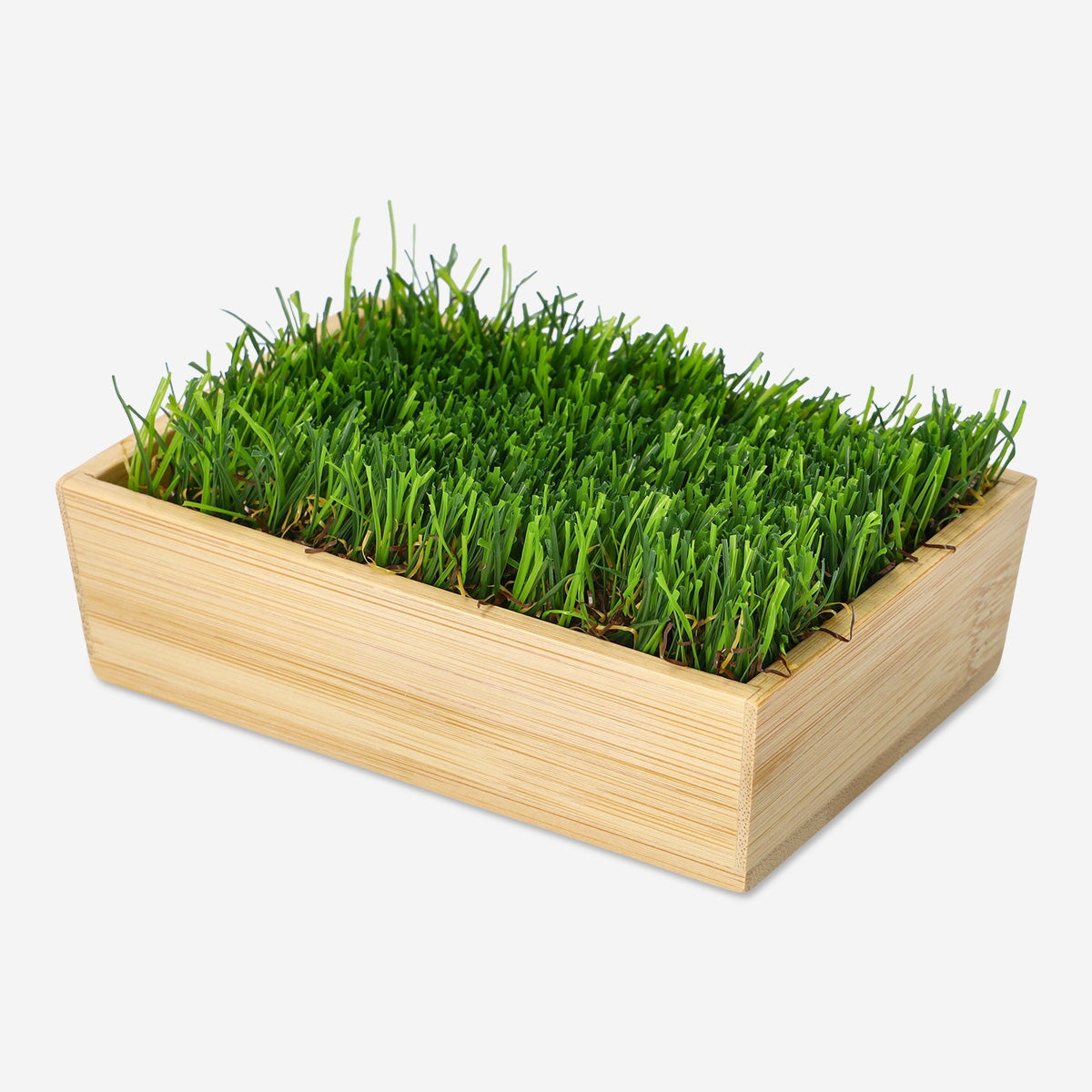 Soap dish Personal care Flying Tiger Copenhagen 