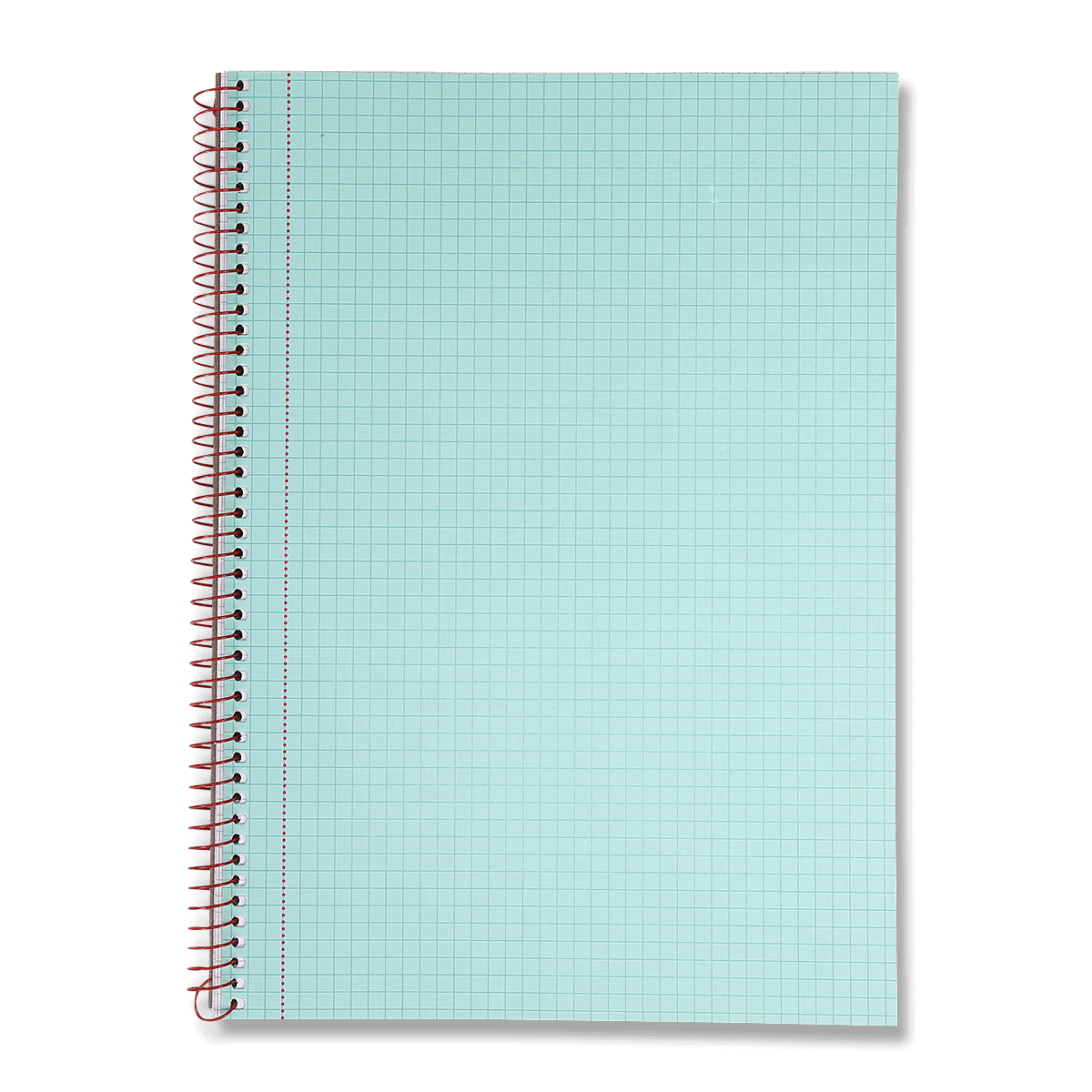 Notebook. A4.