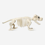 Skeleton dog Gadget Flying Tiger Copenhagen 