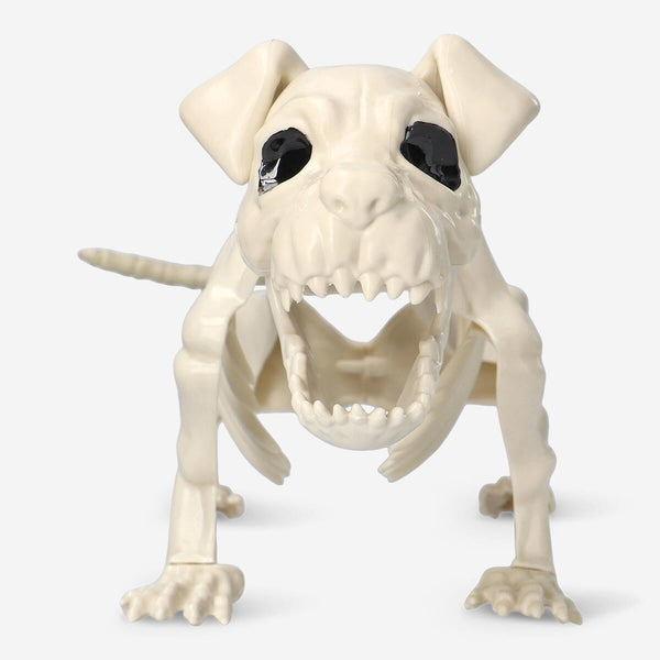 Skeleton dog