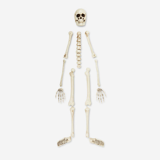 Esqueleto decorativo