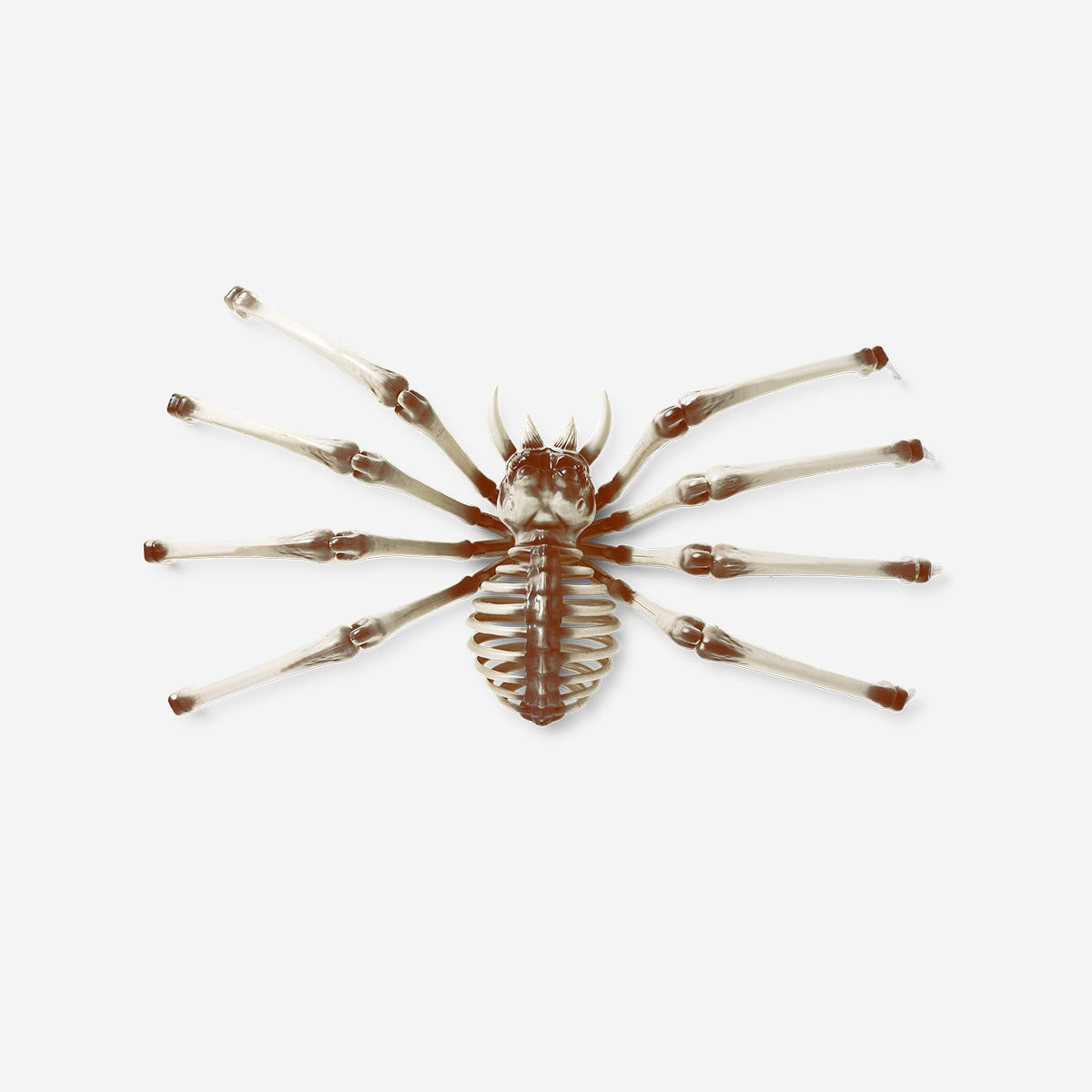 Spider skeleton | Flying Tiger Copenhagen